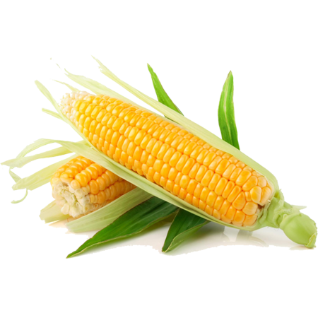 kisansuvidha