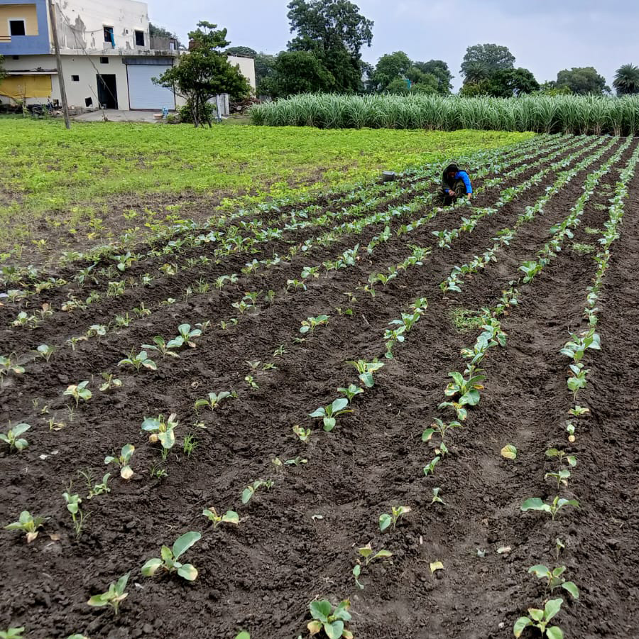 kisansuvidha